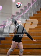 Photo from the gallery "Stagg @ Tokay"