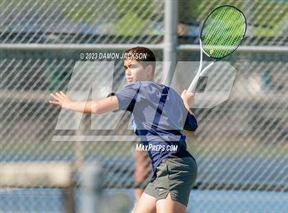 Thumbnail 3 in Adelson @ Virgin Valley photogallery.