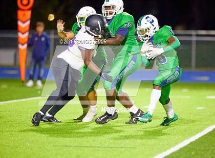 Thumbnail 3 in Spoto @ Sumner photogallery.