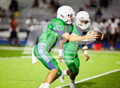 Thumbnail 2 in Spoto @ Sumner photogallery.