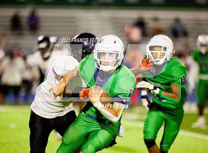 Thumbnail 3 in Spoto @ Sumner photogallery.