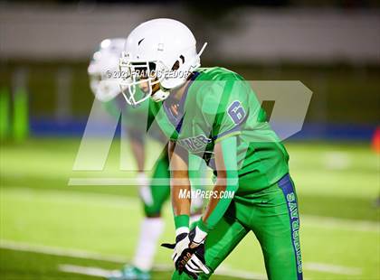 Thumbnail 2 in Spoto @ Sumner photogallery.