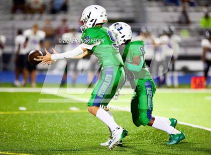 Thumbnail 1 in Spoto @ Sumner photogallery.