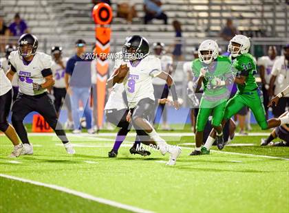 Thumbnail 2 in Spoto @ Sumner photogallery.