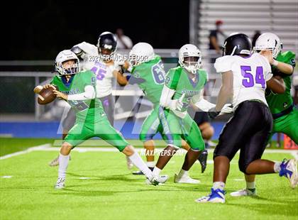 Thumbnail 1 in Spoto @ Sumner photogallery.