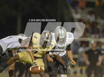 Thumbnail 1 in Olympia @ Ocoee photogallery.