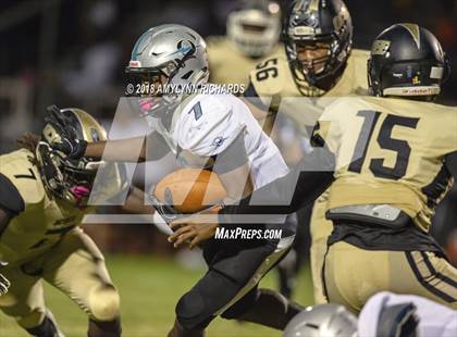 Thumbnail 1 in Olympia @ Ocoee photogallery.