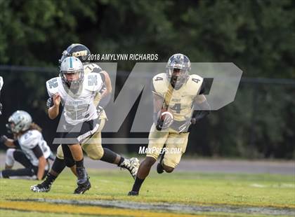Thumbnail 3 in Olympia @ Ocoee photogallery.