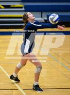 Photo from the gallery "Rio Americano @ Vista del Lago"