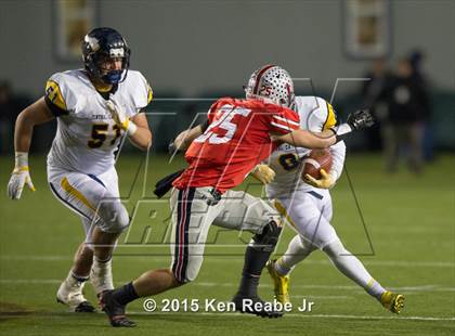 Thumbnail 3 in Parkland vs. Central Catholic (PIAA Class AAAA Final) photogallery.