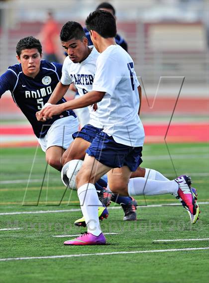 Thumbnail 1 in Carter vs. Animo Leadership (CIF SS D6 Final) photogallery.