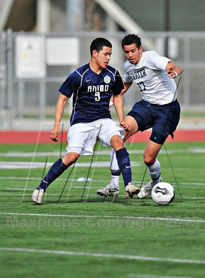 Thumbnail 1 in Carter vs. Animo Leadership (CIF SS D6 Final) photogallery.