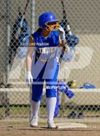Photo from the gallery "Linden @ Franklin"
