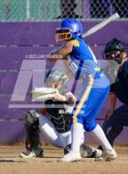 Photo from the gallery "Linden @ Franklin"