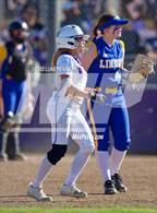 Photo from the gallery "Linden @ Franklin"