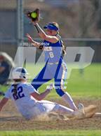 Photo from the gallery "Linden @ Franklin"