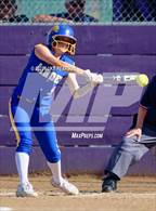 Photo from the gallery "Linden @ Franklin"