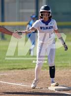 Photo from the gallery "Linden @ Franklin"