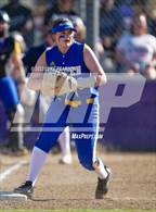 Photo from the gallery "Linden @ Franklin"