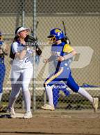 Photo from the gallery "Linden @ Franklin"