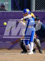 Photo from the gallery "Linden @ Franklin"