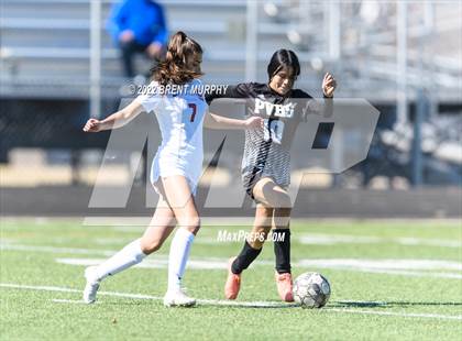 Thumbnail 1 in Eaglecrest @ Prairie View photogallery.