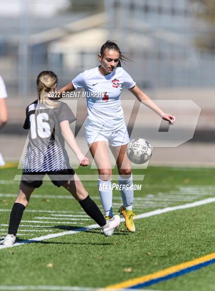 Thumbnail 1 in Eaglecrest @ Prairie View photogallery.