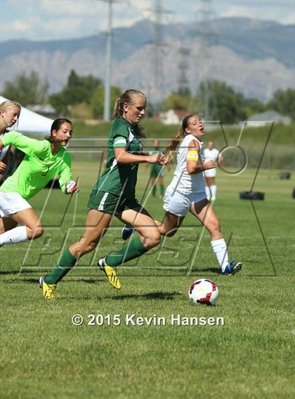 Thumbnail 1 in Provo @ Syracuse photogallery.