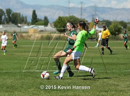 Thumbnail 2 in Provo @ Syracuse photogallery.