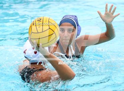 Thumbnail 2 in Santa Cruz @ Acalanes photogallery.
