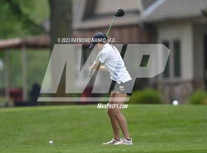 Thumbnail 2 in Lady Devil Invite photogallery.