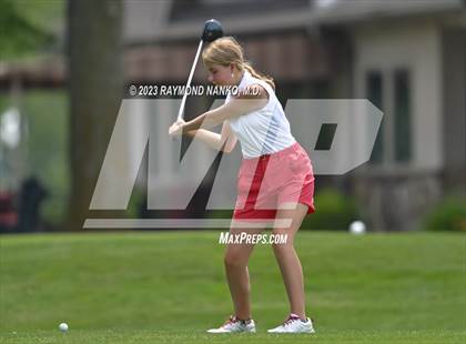 Thumbnail 1 in Lady Devil Invite photogallery.