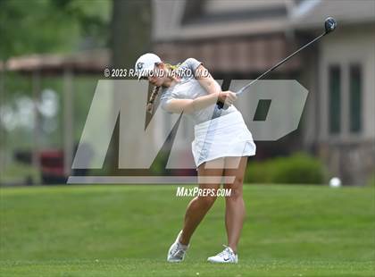 Thumbnail 3 in Lady Devil Invite photogallery.