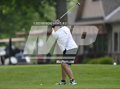 Thumbnail 1 in Lady Devil Invite photogallery.