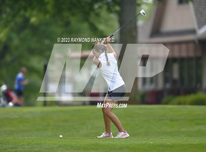 Thumbnail 2 in Lady Devil Invite photogallery.