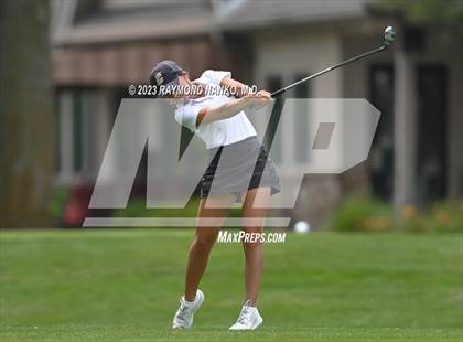 Thumbnail 3 in Lady Devil Invite photogallery.