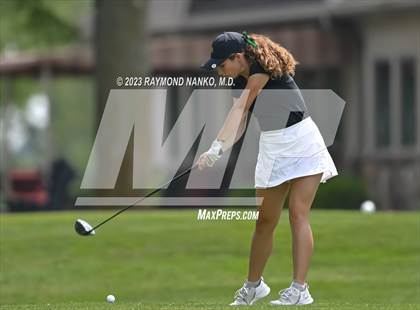 Thumbnail 1 in Lady Devil Invite photogallery.