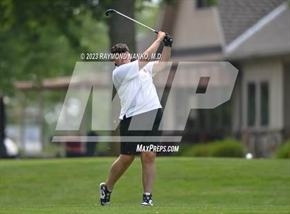 Thumbnail 2 in Lady Devil Invite photogallery.