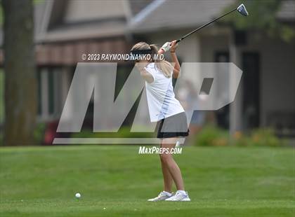 Thumbnail 3 in Lady Devil Invite photogallery.