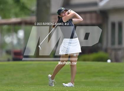 Thumbnail 2 in Lady Devil Invite photogallery.