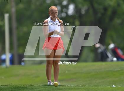 Thumbnail 3 in Lady Devil Invite photogallery.