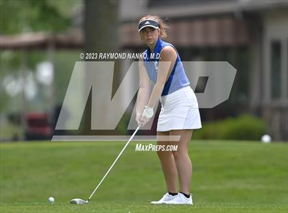 Thumbnail 3 in Lady Devil Invite photogallery.