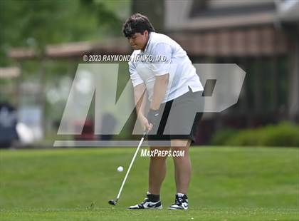 Thumbnail 3 in Lady Devil Invite photogallery.