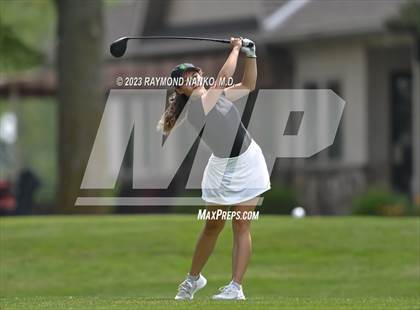 Thumbnail 2 in Lady Devil Invite photogallery.