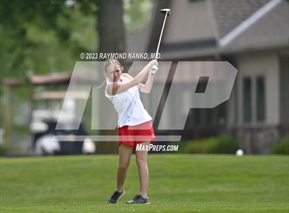 Thumbnail 2 in Lady Devil Invite photogallery.