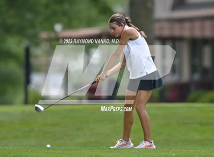 Thumbnail 3 in Lady Devil Invite photogallery.