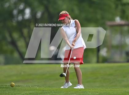 Thumbnail 1 in Lady Devil Invite photogallery.