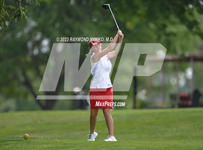 Thumbnail 3 in Lady Devil Invite photogallery.