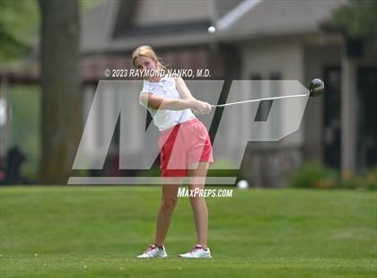 Thumbnail 3 in Lady Devil Invite photogallery.