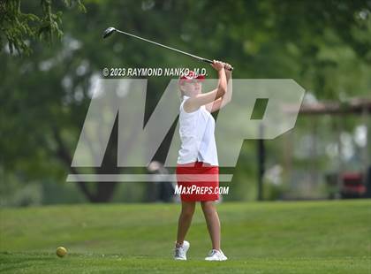 Thumbnail 2 in Lady Devil Invite photogallery.